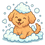 Shampooch Your Pooch Icon